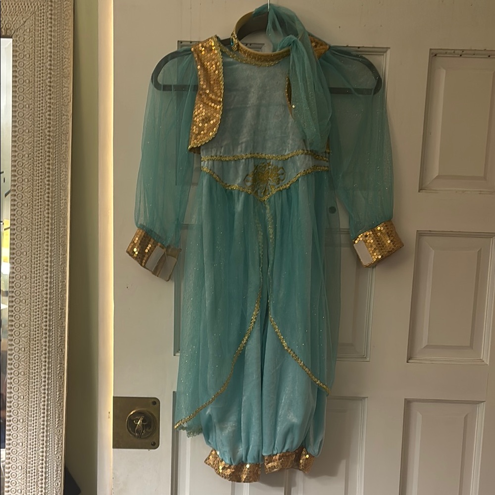 Jasmine inspired costume